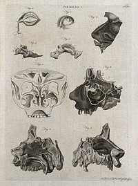 The eye, the tear duct, and the nose: nine figures. Line engraving by A. Bell after G.B. Morgagni, A. Monro and J.  Hunter, 1798.