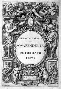 De formato foetu. [De brutorum loquela. De venarum ostiolis. De locutione et eius instrumentis liber / a J. Ursino editus].