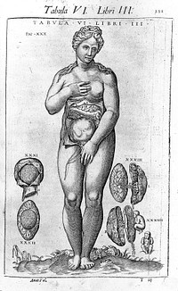 Anatome corporis humani / avctore Joanne Valverdo. Nunc primùm à Michaele Columbo latine reddita, et additis nouis aliquot tabulis exornata.