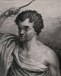 Ōtago, a young man encountered by Captain Cook in Tonga on his second voyage. Engraving by J.K. Sherwin, 1777, after W. Hodges.