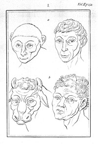 J. C. Lavater, Essays on physiognomy