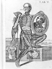 Tabulae anatomicae a ... P.B. ... delineatae, & egregie aeri incisae. Nunc primum prodeunt / et a Cajetano Petrioli ... notis illustratae.
