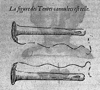 Les œuvres d'Ambroise Paré ... Diuisees en vingt huict liures, auec les figures et portraicts, tant de l'anatomie, que des instruments de chirurgie, et de plusieurs monstres. Reueuës et augmentees par l'autheur.