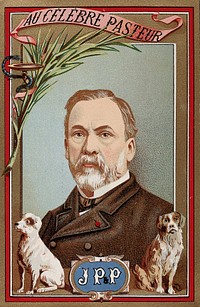 Louis Pasteur, with two dogs (referring to his work on rabies), a palm and a snake around a bowl (indicating achievement in hygiene). Chromolithograph.