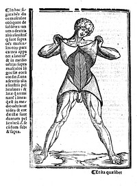 Carpi commentaria cũm amplissimis additionibus super Anatomia Mũndini vna cum textu eiusdẽm in pristinũm et verum nitorèm redacto / [Jacopo Berengario da Carpi].