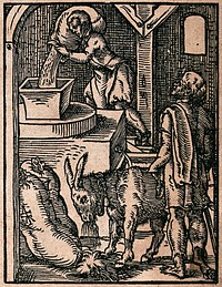 A miller pours grain into a mill from a sack brought by a donkey. Woodcut by J. Amman.