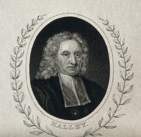 Edmund Halley. Line engraving after M. Dahl.