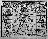 Nätürlicher Kunst der Astronomei, des weitberümpten M. Johannem Künigspergers, kurtzer Begriff. Von natürlichem Influsz der Gestirn, Planeten, und XII Zeychen etc. Was einem jedem dabei zuwissen fürderlich sei, sich also darnach in der Natur nötigen Übungen zuhalten hab, mit einem beigelegten Kalender. Und was dazu dienlich nach anzeyg Registers dem Kalender nachgsetzt / [Joannes Regiomontanus].