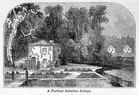 A pestilent suburban cottage. A house in the Old Kent Road where cholera, diphteria and fever had all occured. It was surrounded by a foul ditch and on one side a stagnant pool.