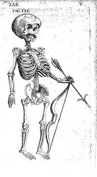 Theatrum anatomicum / novis figuris aeneis illustratum, et in lucem emissum opera et sumptibus Theodori de Bry.