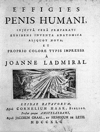 Effigies penis humani, injectâ cerâ praeparati exhibens inventa anatomica aliquot nova / et proprio colore typis impressa à Joanne Ladmiral.