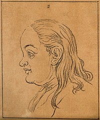A woman whose face exemplifies the phlegmatic temperament. Drawing, c. 1789.
