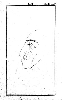 "Stupidity" - head in profile, from Lavater, Essays on Physiognomy, 1792.