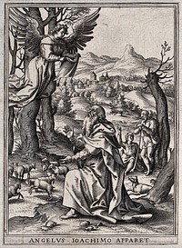 Saint Joachim: an angel appears to Joachim and tells him that his wife Anna will give birth to a child (the Virgin Mary. Engraving by H. Wierix.