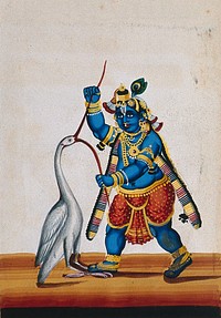 Krishna piercing open the beak of a large white bird. Gouache painting by an Indian artist.