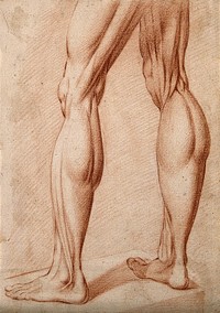 Muscles of a pair of legs of man standing. Red-chalk drawing, 17th century.
