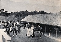 Kuching, Sarawak: horses being mounted in the racecourse paddock. Photograph.