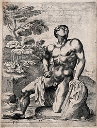 A son of Niobe. Etching by F. Perrier.