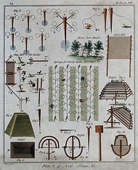 Hunting: traps and snares for catching ground-feeding birds. Coloured engraving.