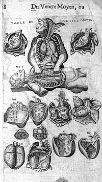Les oeuvres de chirurgie avec les portraits et figures de toutes les parties du corps humain et des instrumens necessaires au chirurgien / [Jacques Guillemeau].