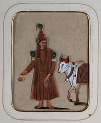A man wearing a brown garment with peacock feathers on his arms, leading a cow. Gouache painting on mica by an Indian artist.