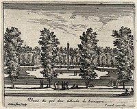 The lime tree park at Liancourt. Etching by I. Silvestre.