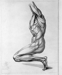 A treatise on the science of muscular action / By John Pugh.