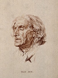 Head of an old man. Stipple engraving.