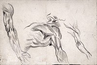 Muscles of the human upper limb and trunk: three figures. Drawing by Eugène Delacroix.