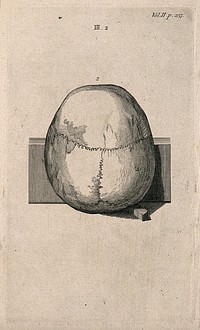 Human skull, seen from above. Line engraving, 1780/1800.