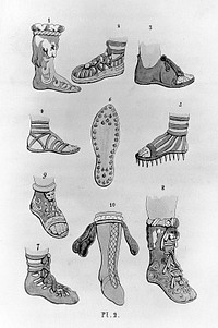 The book of the feet, a history of boots and shoes. With illustrations of the fashions of the Egyptians, Hebrews, Persians, Greeks and Romans, and the prevailing style throughout Europe during the Middle Ages down to the present period; Also hints to last makers and remedies for corns, etc., etc / J. Sparkes Hall.