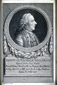 Johan Gotskalk Waller. Line engraving by C. Schütz, 1777, after J. Gillberg.
