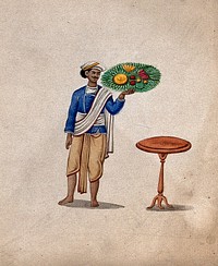A servant holding up a platter of fruit or vegetables. Watercolour by an Indian artist.