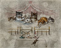 Six kittens in a canopied bed woken by a mouse; three candles in the foreground. Watercolour by G. Hope Tait, ca. 1900.