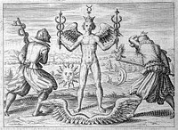 Tripvs avrevs, hoc est, tres tractatvs chymici selectissimi, nempe I. Basilii Valentini ... Practica vna cum 12. clauibus & appendice, ex Germanico: II. Thomæ Nortoni ... Crede mihi seu ordinale, ante annos 140. ab authore scriptum, nunc ex anglicano manuscripto in latinum translatum, phrasi cuiusque authoris vt & sententia retenta; III. Cremeri cvivsdam ... Abbatus Westmonasteriensis ... Testamentum, hactenus nondum publicatum. Nunc in diuersarum nationum gratiam / editi, & figuris cupro affabre incisis ornati operâ & studio Michaelis Maieri.