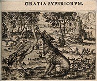 A crane inserts its beak into the mouth of a wolf; illustrating Aesop's fable. Etching by C. Murer after himself, c. 1600-1614.