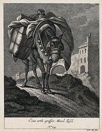 A large mule carrying a load with a dog on top is walking on a rocky path with a town in the background. Etching by J. E. Ridinger.
