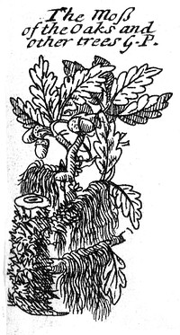 A complete herbal ... / by James Newton, containing the prints and the English names of several thousand trees, plants, shrubs, flowers, exotics, etc. Many of which are not to be found in the herbals of either Gerard, Johnson or Parkinson.