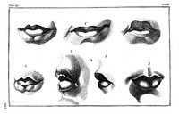 Heads demonstrating points of physiognomy, from Lavater, Essays on physiognomy, 1797