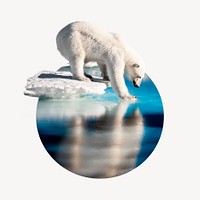 Polar bear round shape badge, animal photo
