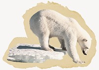 Polar bear, ripped paper collage element