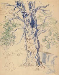 Study of a Tree. Original from the Minneapolis Institute of Art.