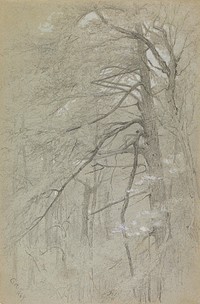 Tree Study. Original from the Minneapolis Institute of Art.