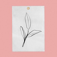 Pinned botanical poster, leaf illustration