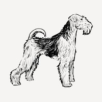 Airedale Terrier animal illustration vector