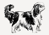 King Charles Spaniel dog animal illustration vector