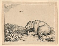 Recumbent Bear, from a Set of Sixteen Views of Bears, Marcus de Bye