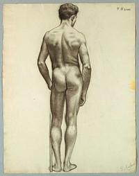 Standing male nude seen from the back