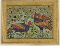 Two pheasants, Golconda Court