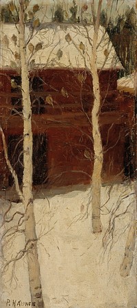 Titmice in birch trees, 1900